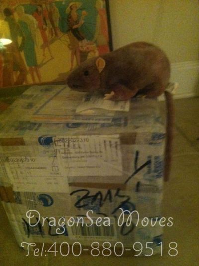 海口市寄托运到美国，哪个公司最便宜？