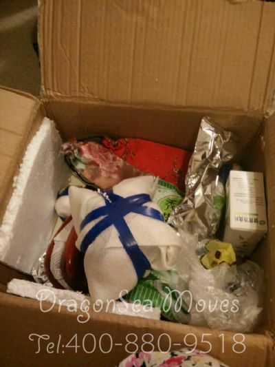 从重庆市托运到新西兰