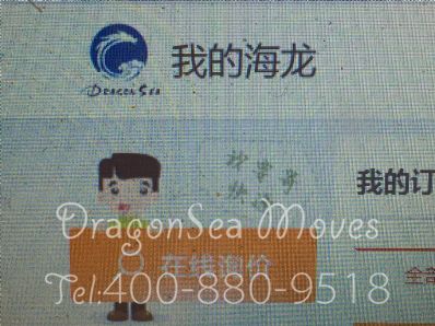 从杭州市托运到法国