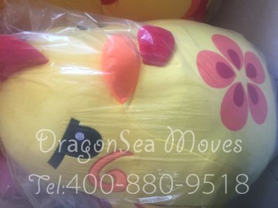 从天津市托运到马来西亚(西)