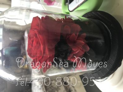 从深圳市托运到美国