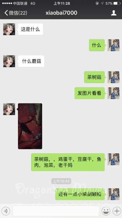 从长沙市托运到新西兰