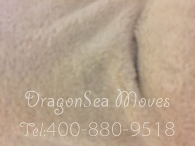 从沈阳市托运到澳大利亚