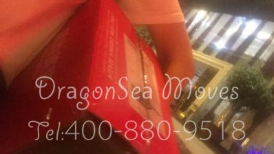 从成都市托运到日本