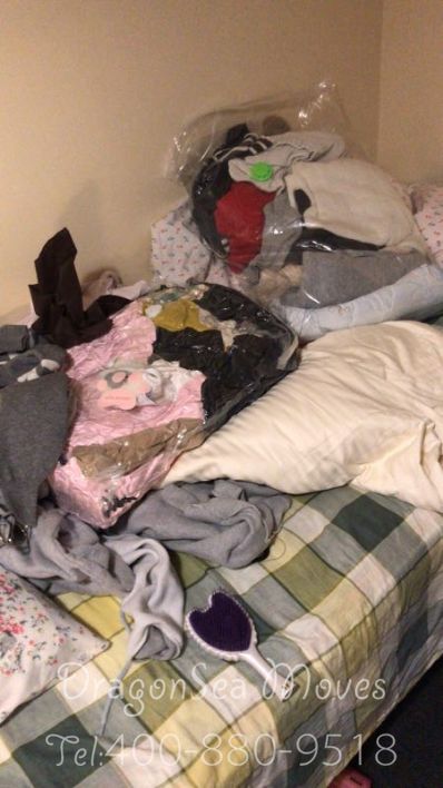 从成都市托运到英国