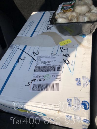 从上海市托运到美国