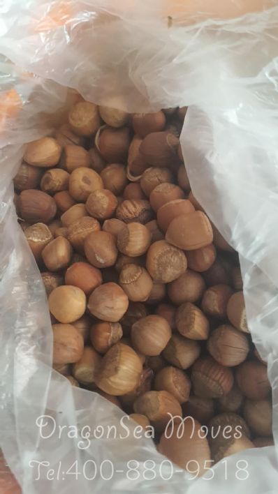 从廊坊市托运到新加坡