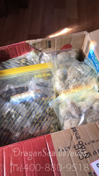 从广州市托运到加拿大