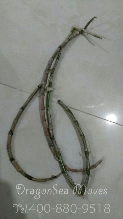 贵阳市邮寄包裹到马来西亚(西)价格，收费是怎样？