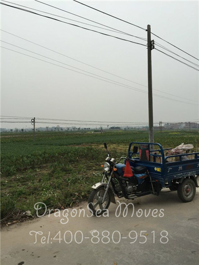 广州到新西兰海运国际搬家案例图一